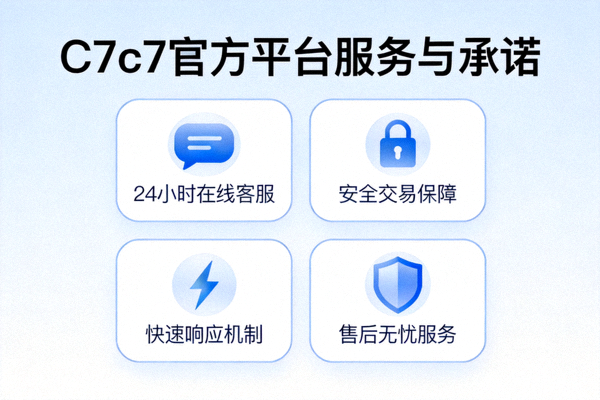 C7c7官方平台服务与承诺图标化展示